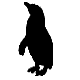 pinguins.mtjuijn.nl